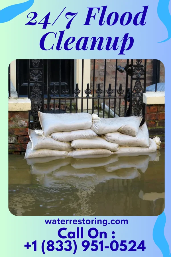 24/7 Flood Cleanup in Homestead, MO