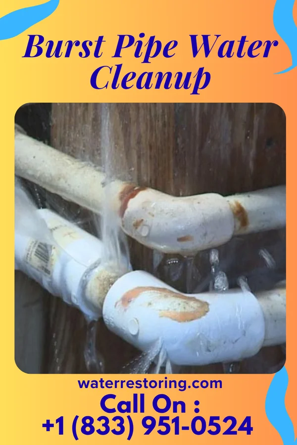 Burst Pipe Water Cleanup in Homestead, MO