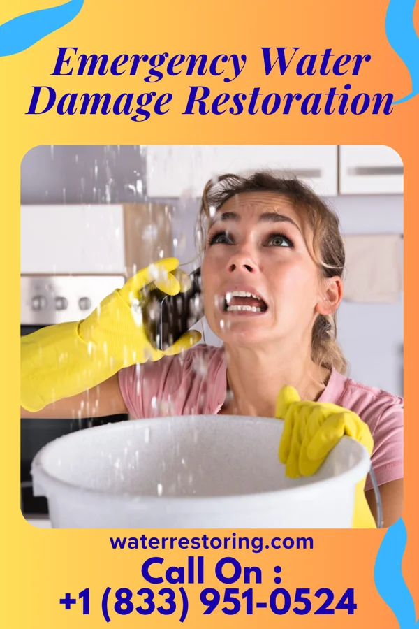 Emergency Water Damage Restoration in Homestead, MO