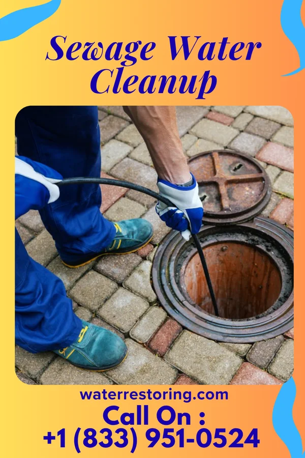 Sewage Water Cleanup in Homestead, MO